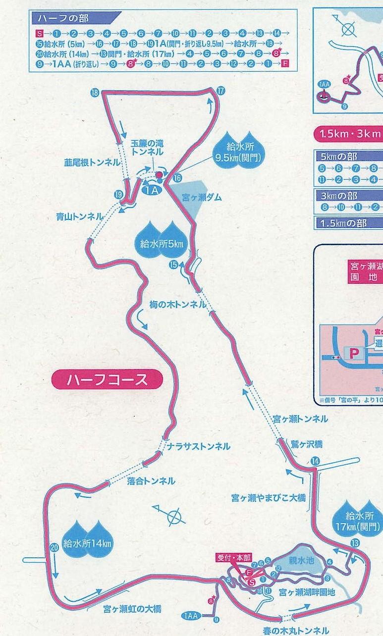 ハーフ